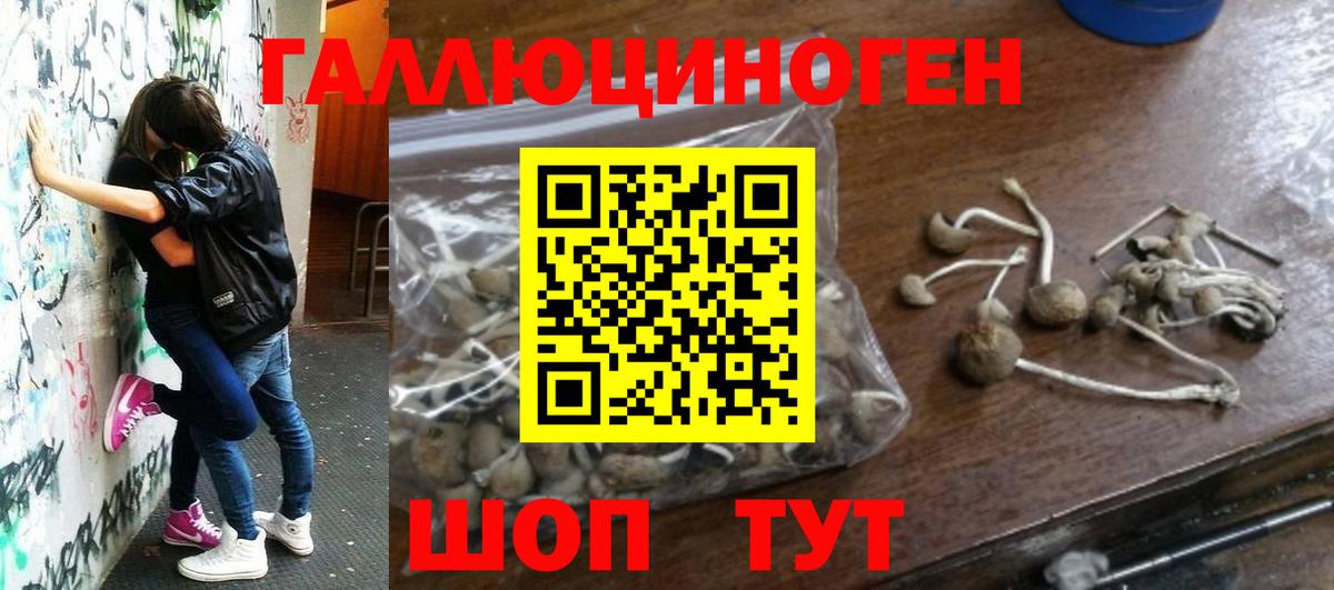 Псилоцибиновые грибы Magic Shrooms Астрахань