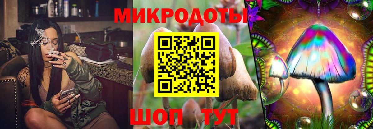 Астрахань  Галлюциногенные грибы прущие грибы  Вход с VPN 